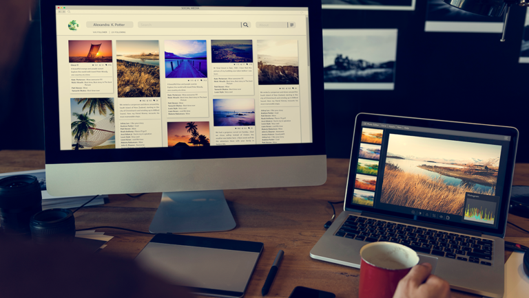 Website Developer at work